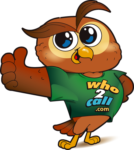 A cartoon owl wearing a green shirt and giving the thumbs up.